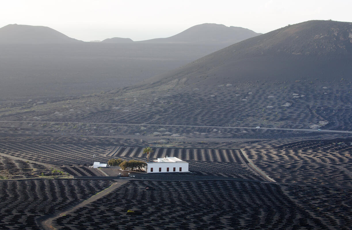 Lanzarote, 