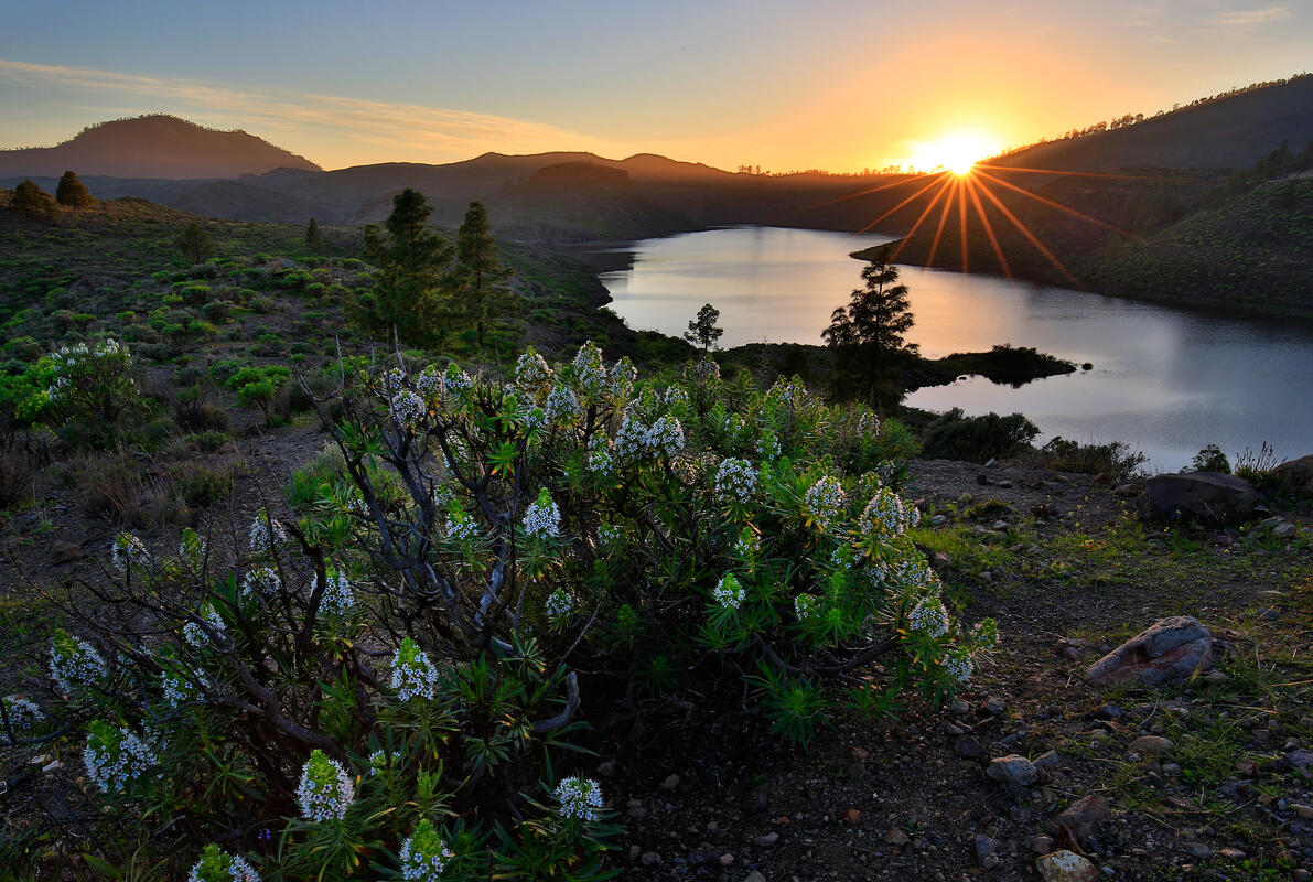 Gran Canaria,