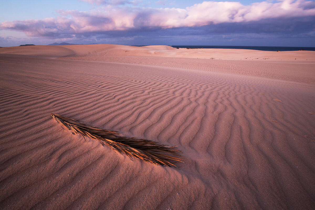 Fuerteventura, Corralejo National Park