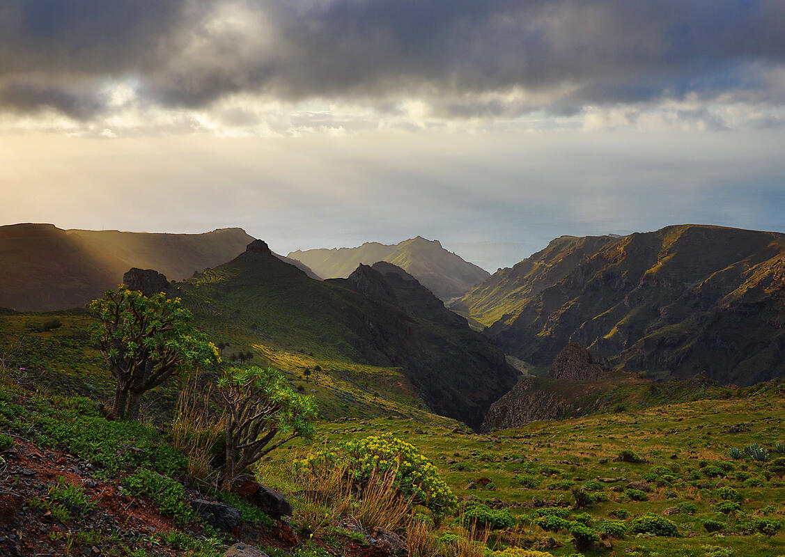 Gomera