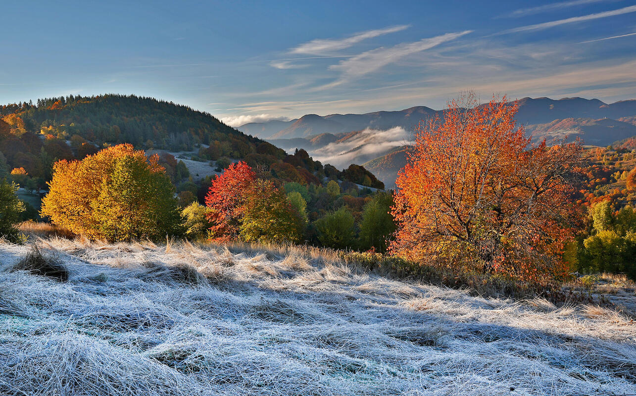 morning in Crntral Rodopi, Bulgaria