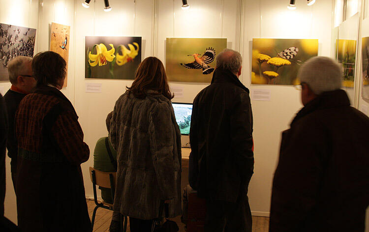 Montier Photo Festival