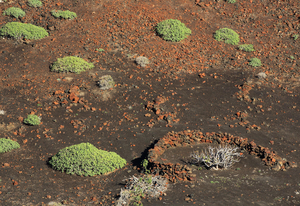 Lanzarote, 